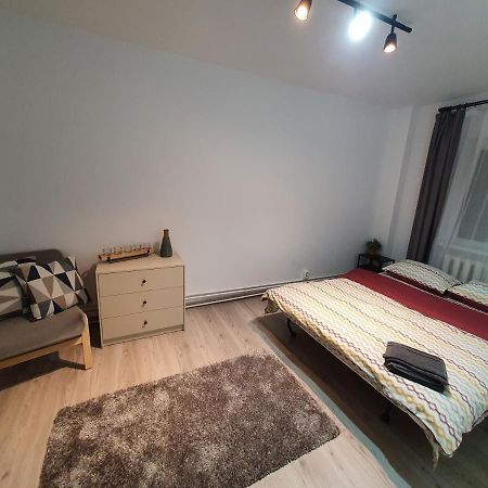 Mia Central Apart, 3 Rooms, 2 Baths, Afi Mall 布拉索夫 外观 照片