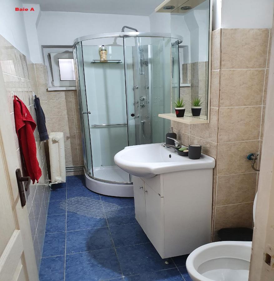 Mia Central Apart, 3 Rooms, 2 Baths, Afi Mall 布拉索夫 外观 照片