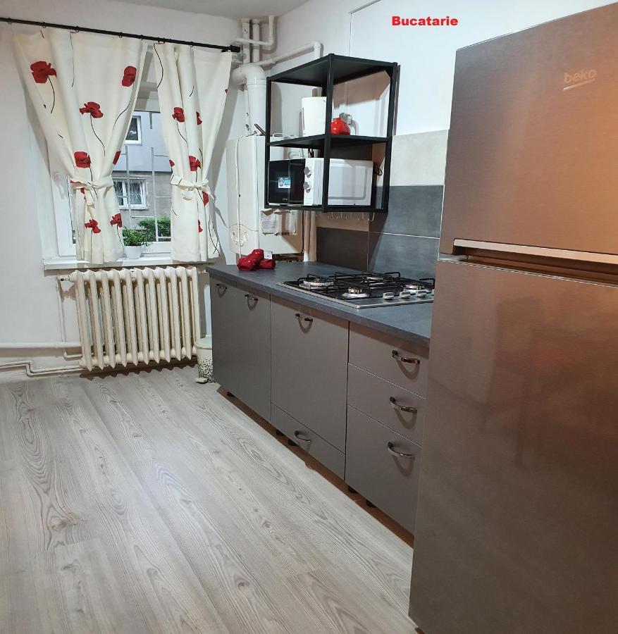 Mia Central Apart, 3 Rooms, 2 Baths, Afi Mall 布拉索夫 外观 照片