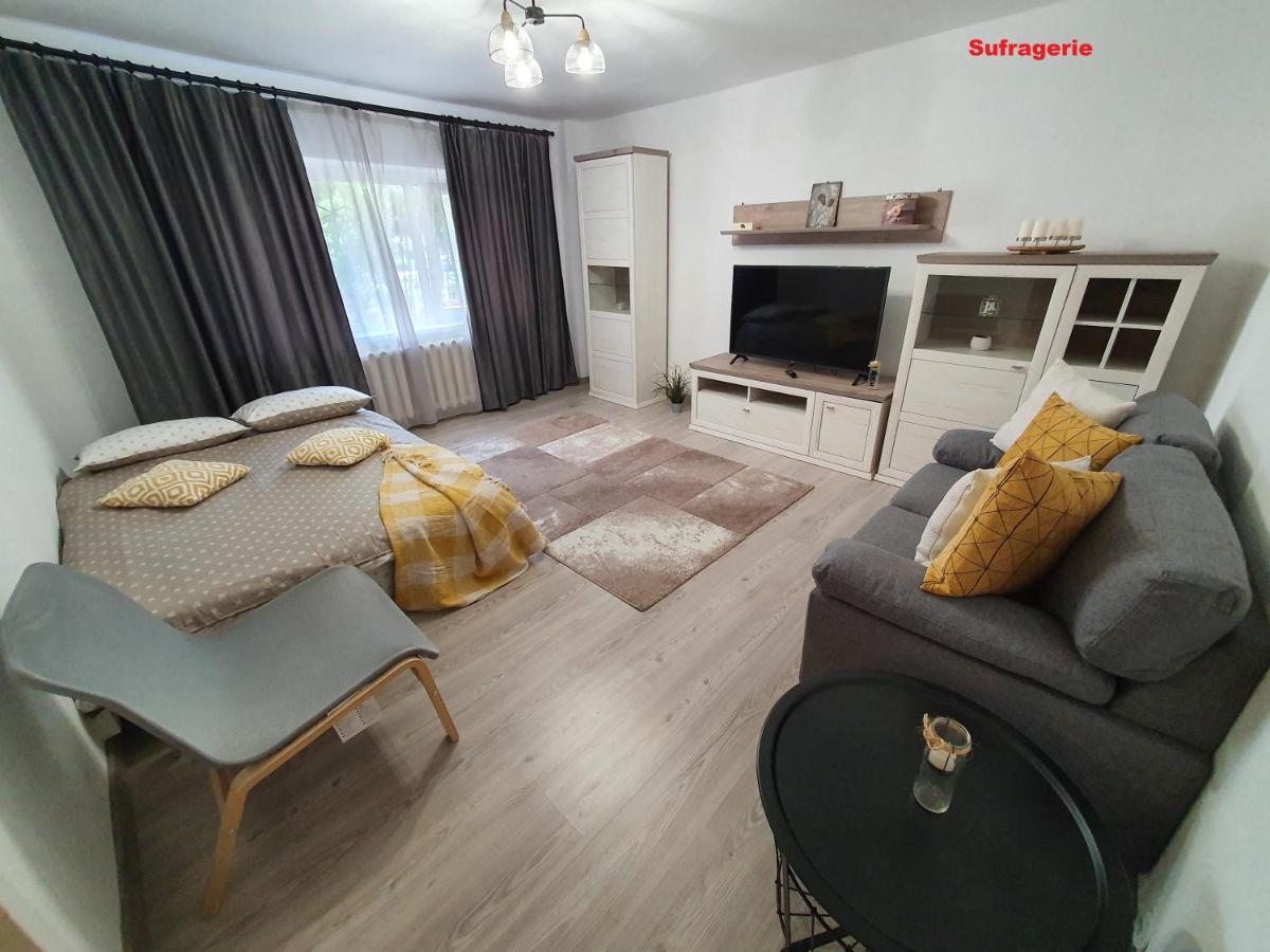 Mia Central Apart, 3 Rooms, 2 Baths, Afi Mall 布拉索夫 外观 照片