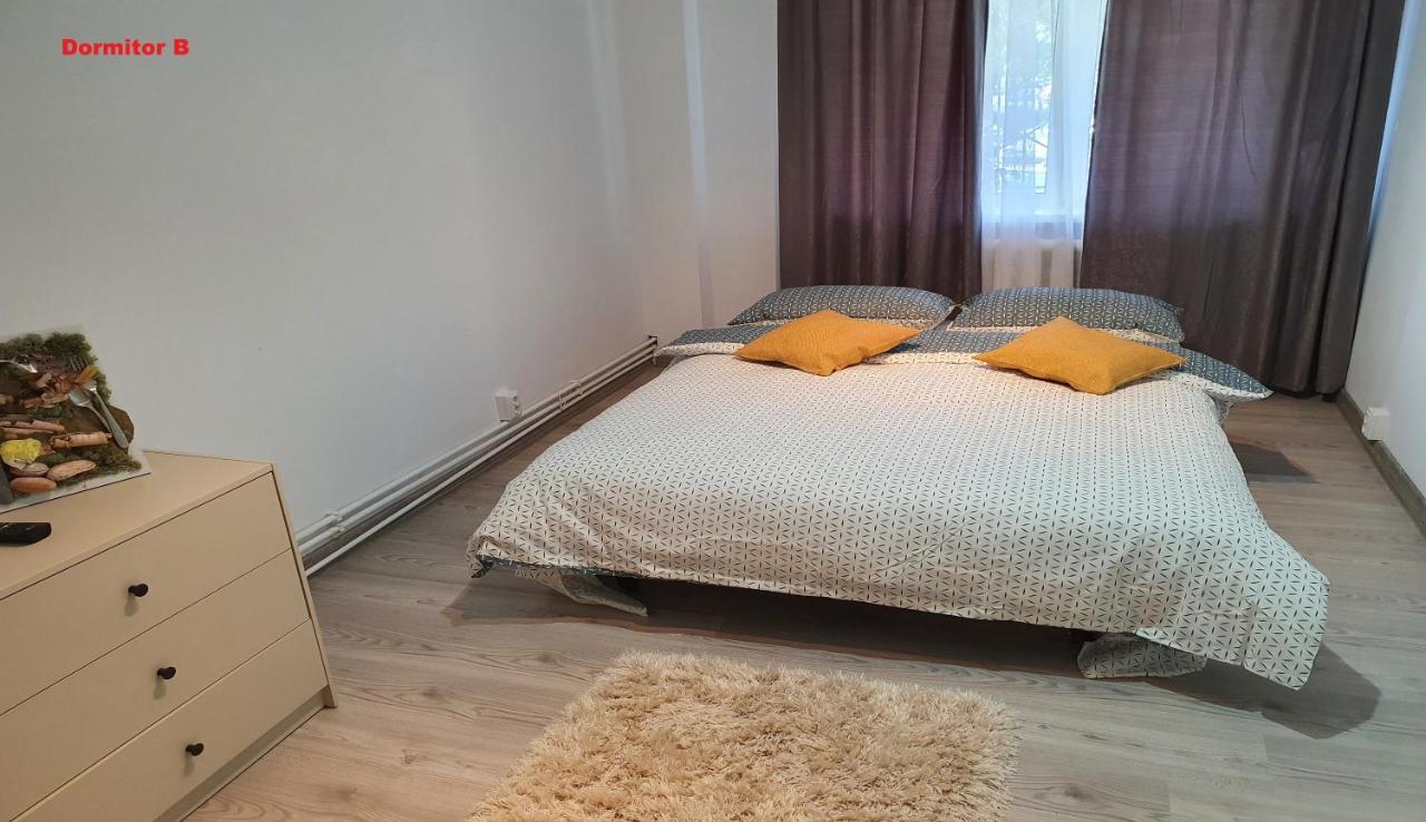 Mia Central Apart, 3 Rooms, 2 Baths, Afi Mall 布拉索夫 外观 照片